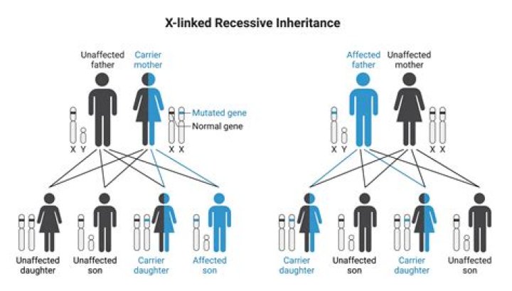 Should siblings receive the same inheritance?
