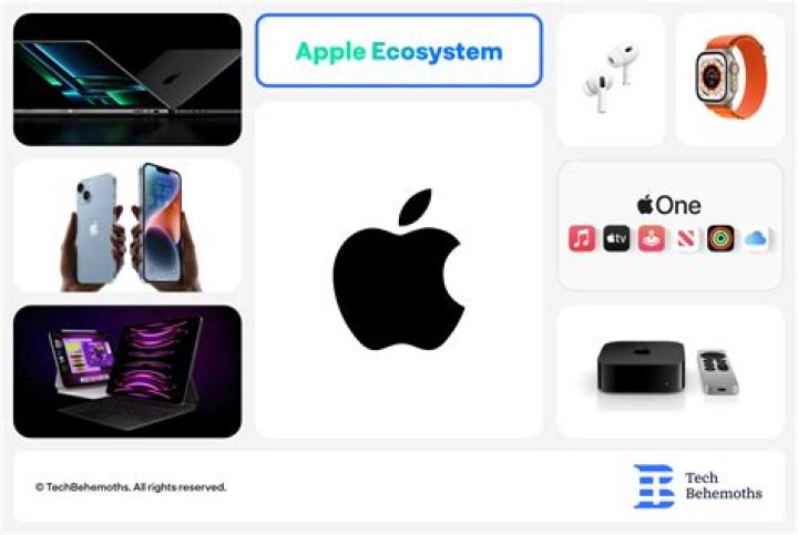 What accounting system does Apple use?