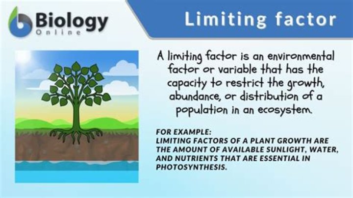 What are 4 limiting factors for plants?