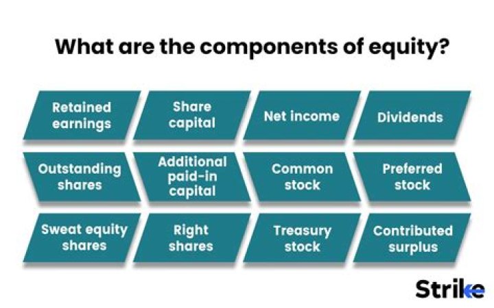 What are components of equity?