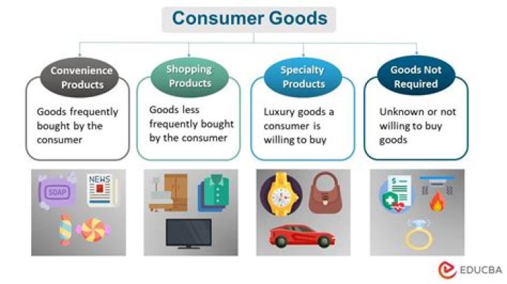 What are consumer goods?