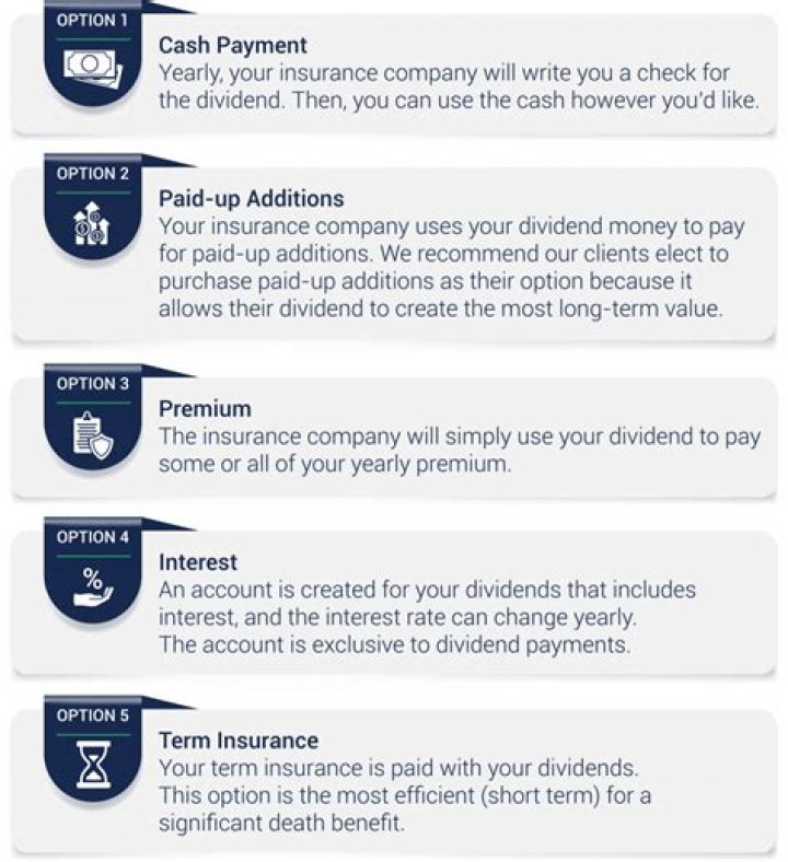 What are dividend options?