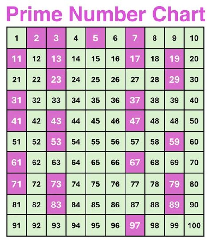 What are E numbers made of?