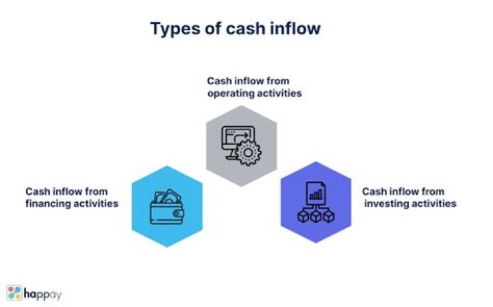 What are examples of cash inflows?