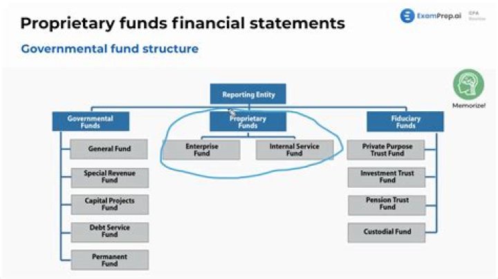 What are examples of proprietary funds?