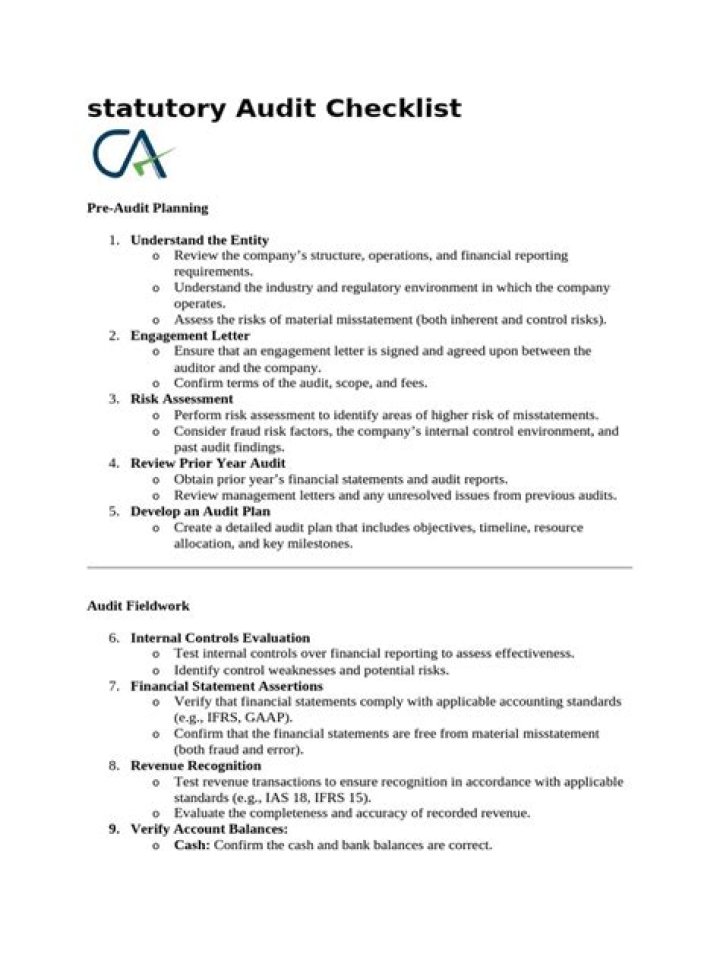 What are examples of statutory audit?