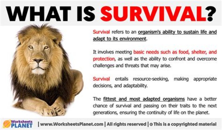 What are examples of survival needs?