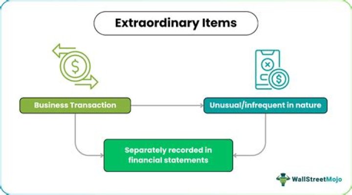 What are extraordinary items give examples?