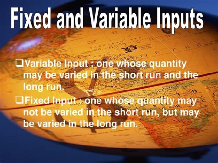 What are fixed inputs and variable inputs?
