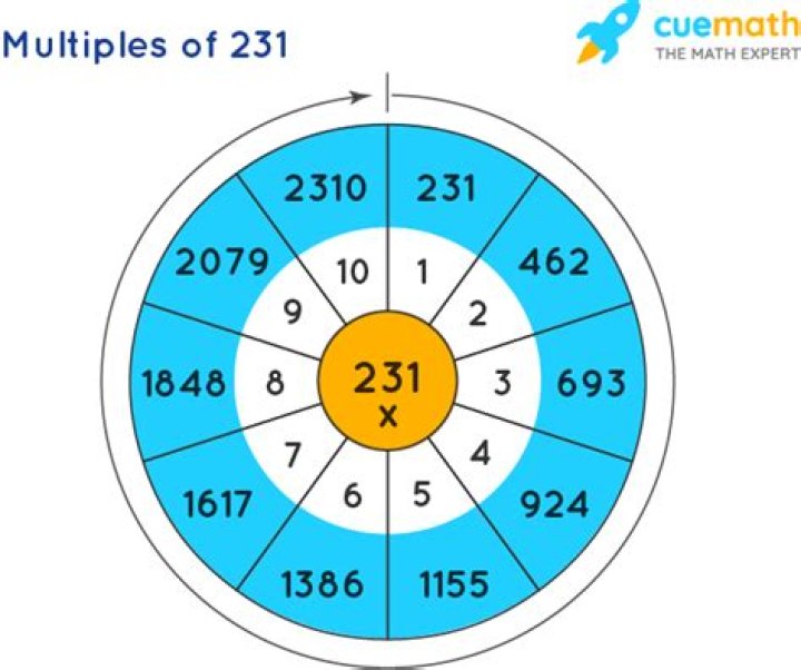 What are multiples of 231?