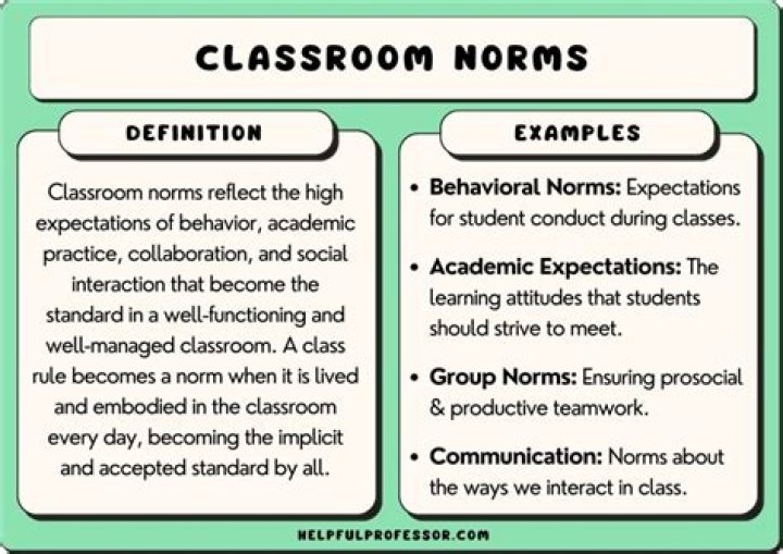 What are Norm examples?