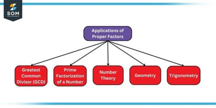 What are positive proper factors?
