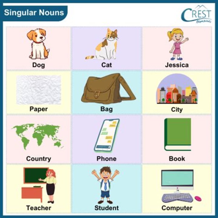 What are singular nouns?