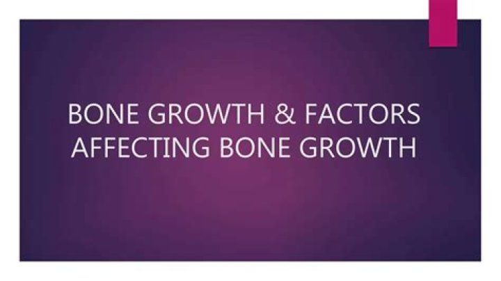 What are the 3 factors that affect bone growth?
