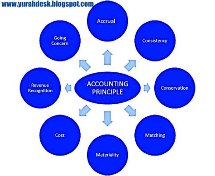 What are the 5 basic accounting principles?
