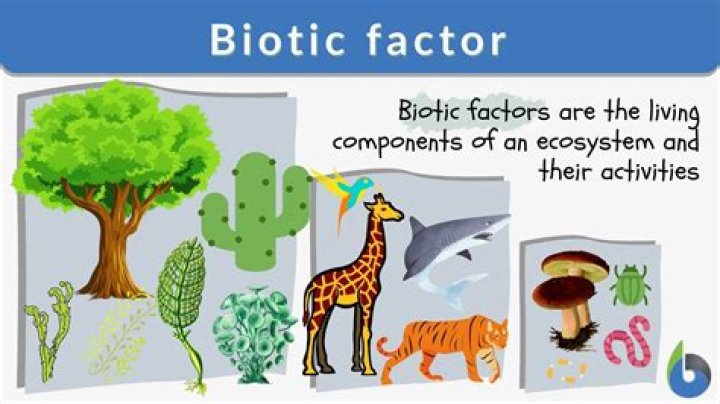 What are the 6 biotic factors?