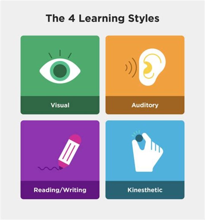 What are the different learning styles PDF?