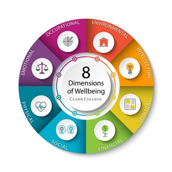 What are the eleven dimensions?
