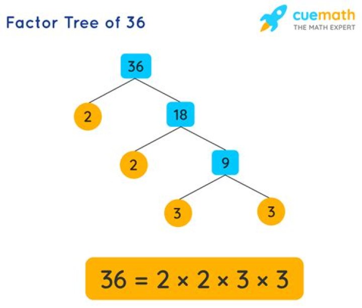 What are the factor tree of 35?