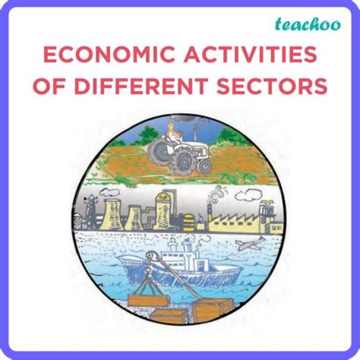 What are the main economic activities explain with examples?