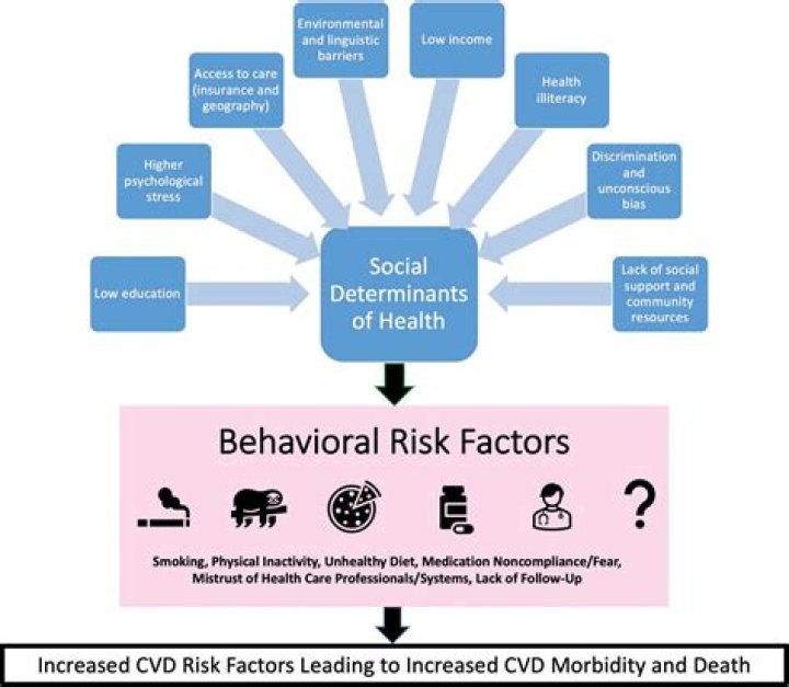 What are the main preventable risk factors for CVD?