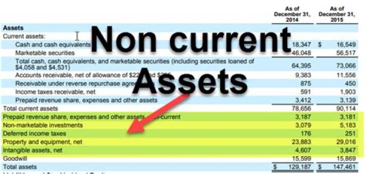 What are the non-current assets?