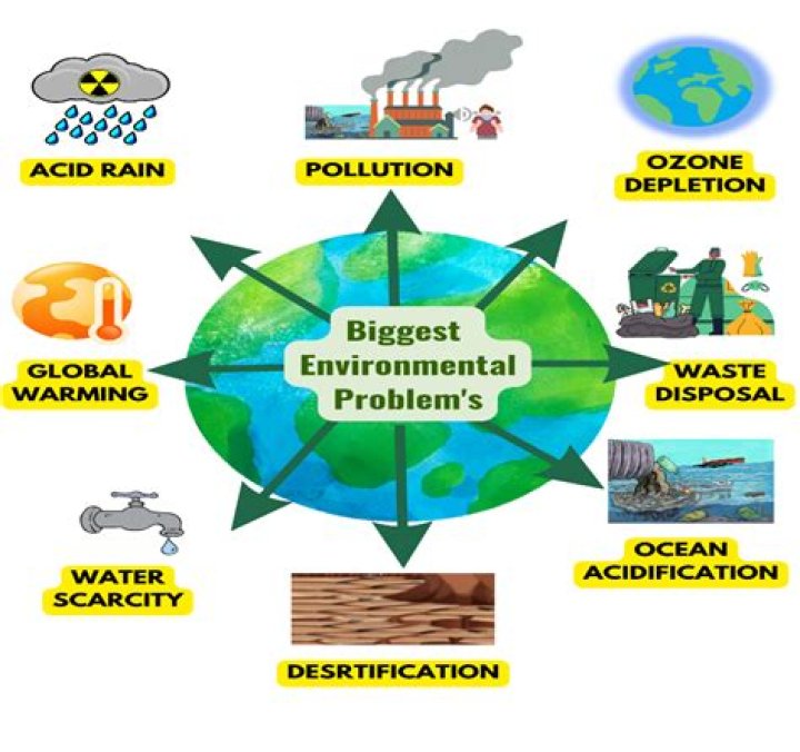 What are the possible solutions to environmental problems?