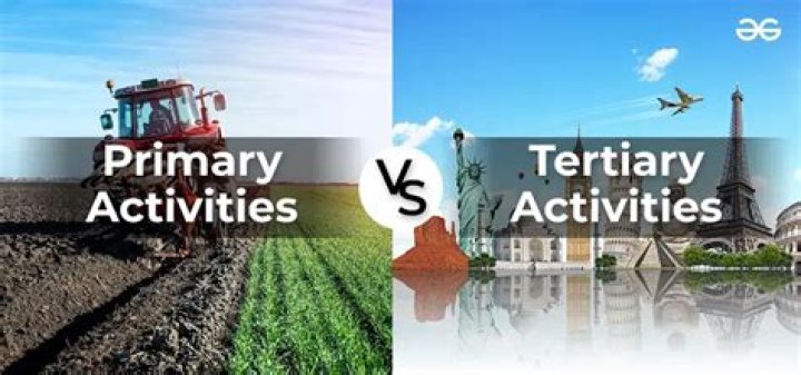 What are two tertiary activities?