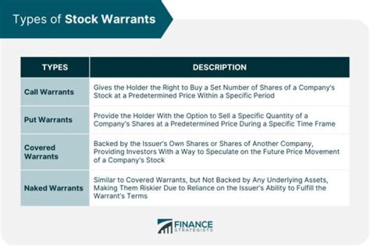 What are warrants examples?