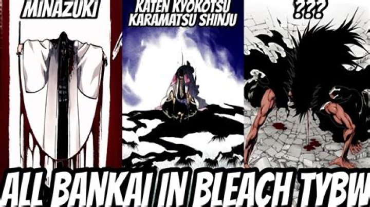 What Bankai means?