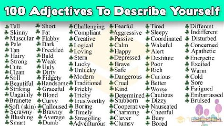 What best describes an asset?