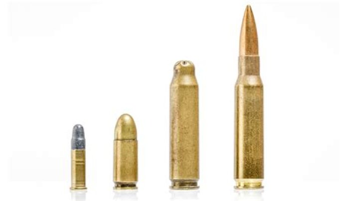 What bullets do Thompson use rust?