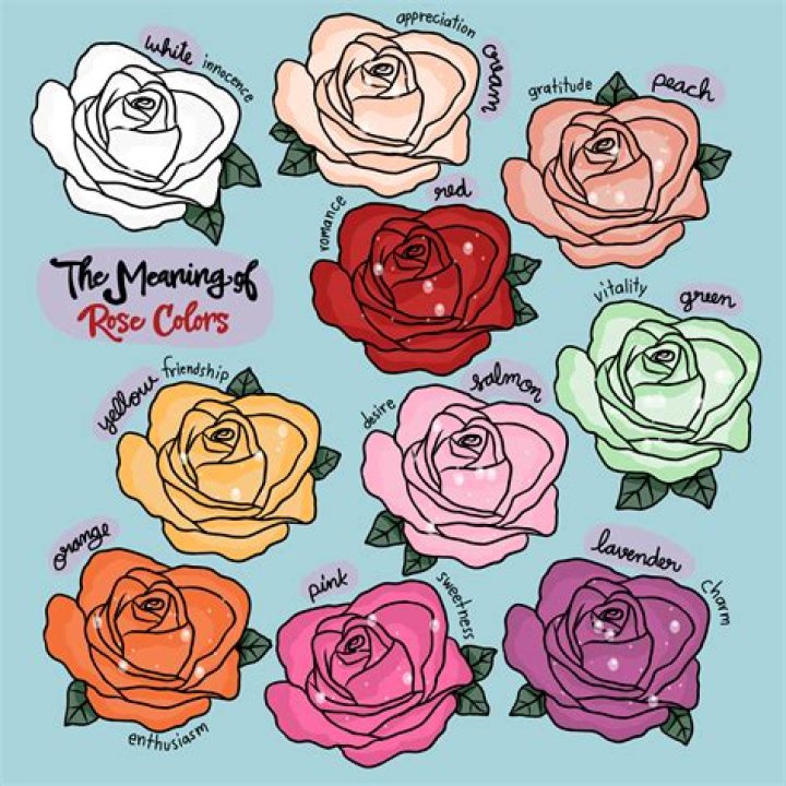 What color roses does St Therese send?
