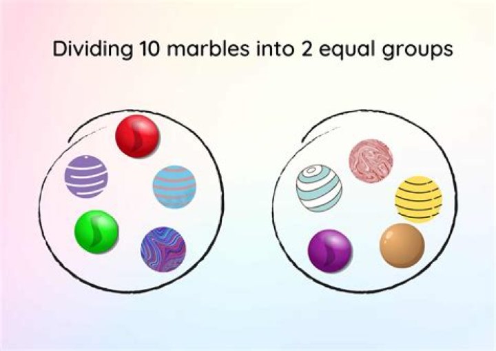 What divides equally into 22?