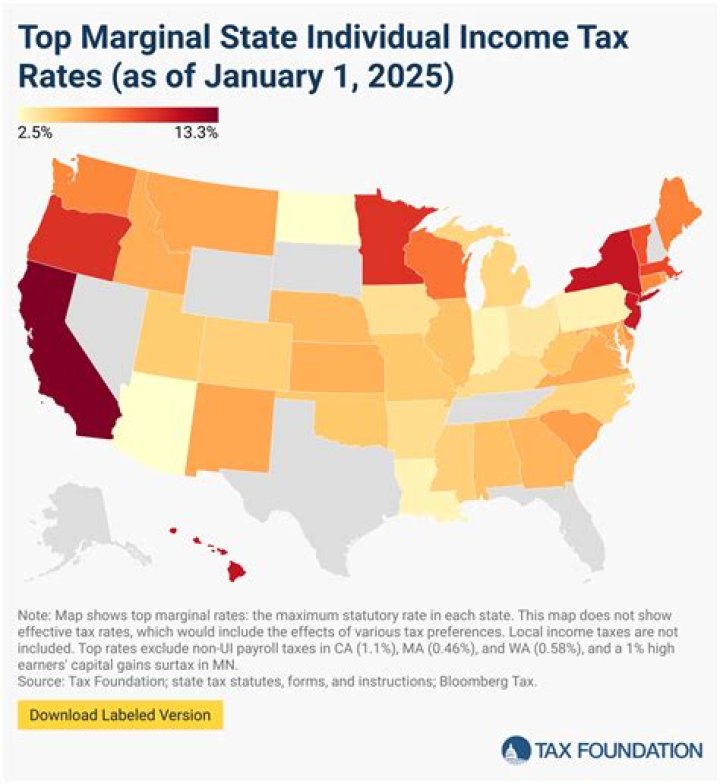 What do employment taxes include?