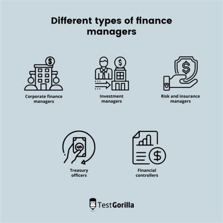 What do finance managers focus on?