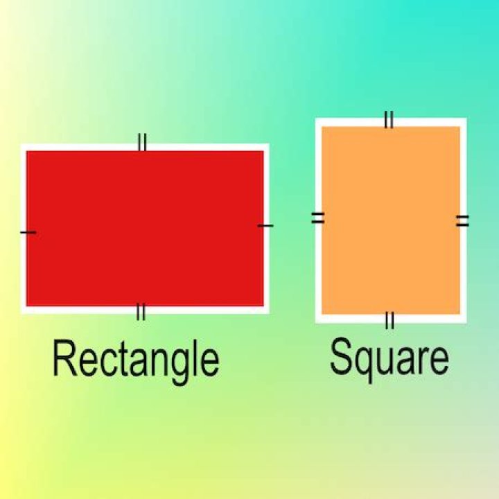 What do rectangles and have in common?