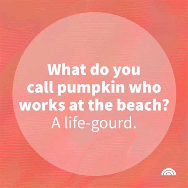 What do you call a small lie?