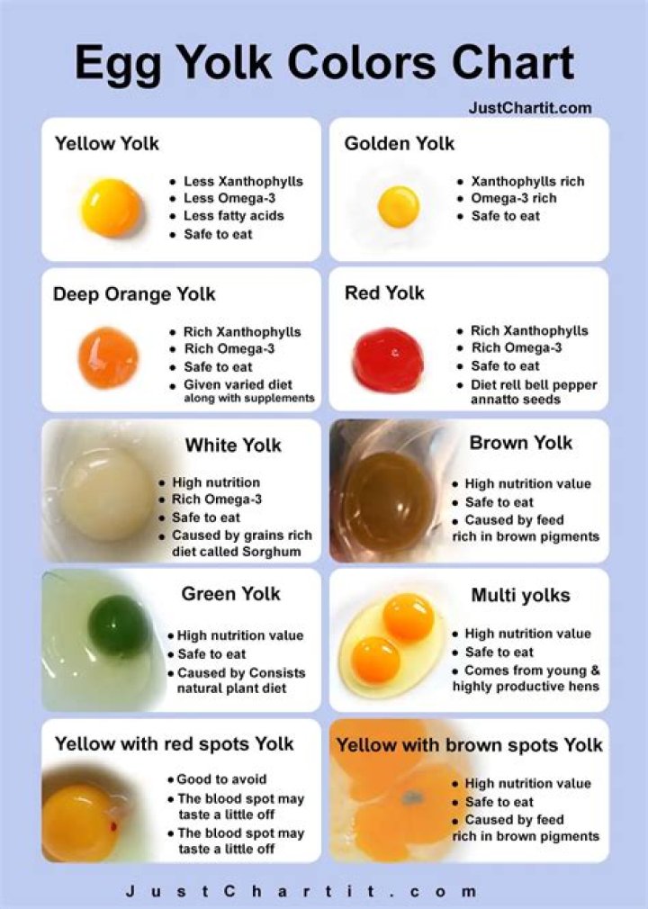 What does a bad egg yolk look like?