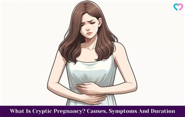 What does a cryptic pregnancy look like?