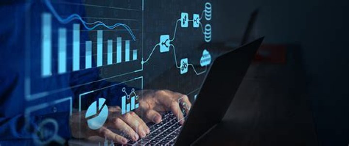 What does a management analyst do?