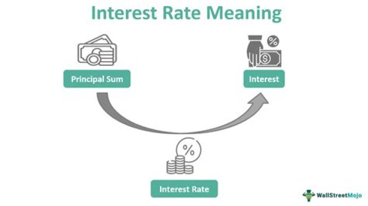 What does cash interest mean?