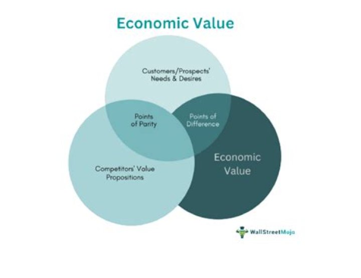What does economic value mean?