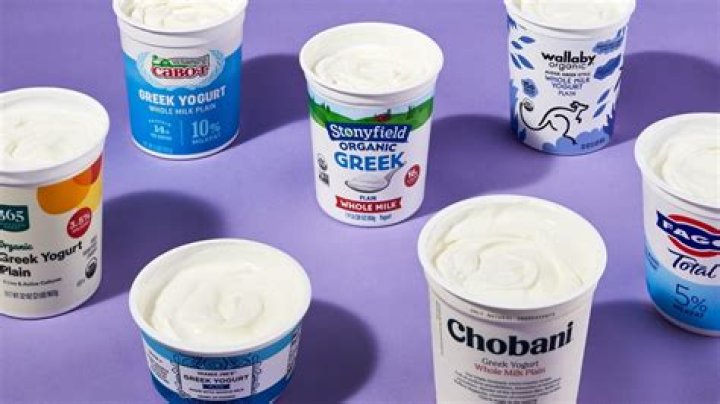 What does Greek yogurt do for your brain?