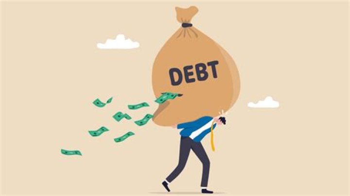 What does it mean for debt to go into default?