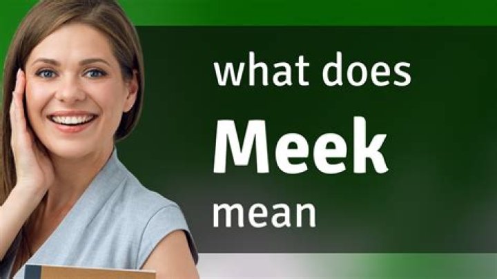 What does Meek mean in sentence?