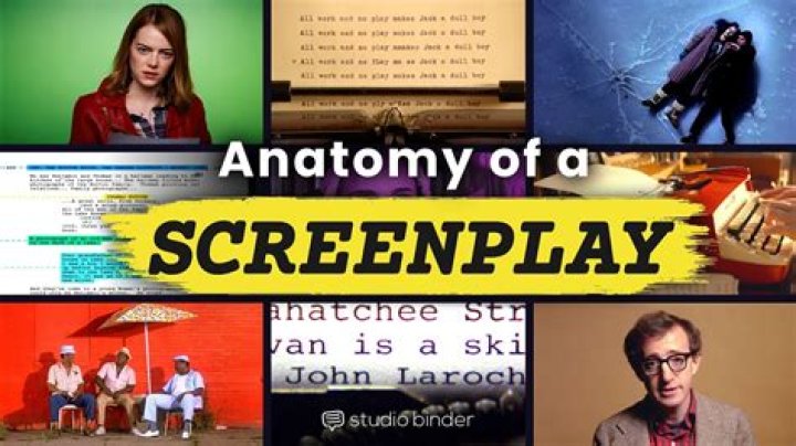 What does MS mean in screenplay?