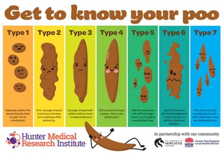 What does mushy poop mean?