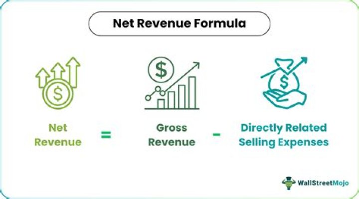 What does net revenue include?