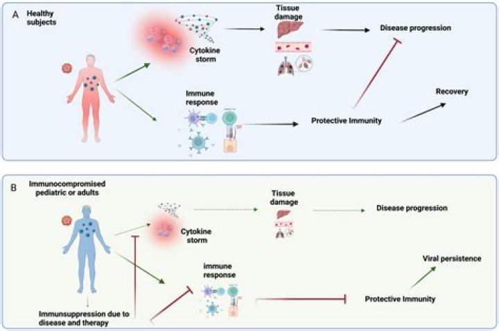 What does paralysis Immunity do Lost Ark?